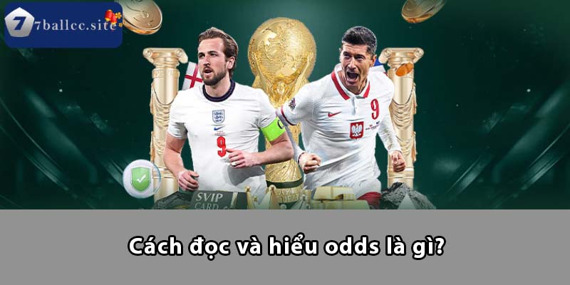 Cách đọc và hiểu Odds là gì?