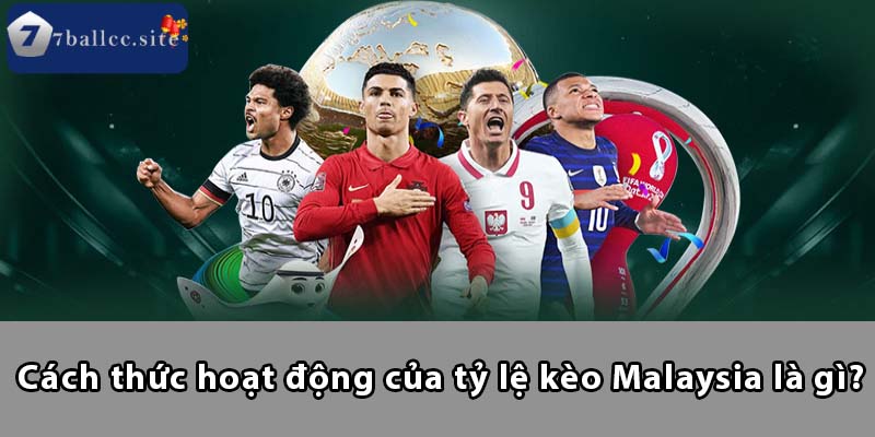 Cách thức hoạt động của tỷ lệ kèo Malaysia là gì?