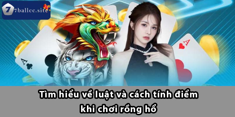 Tìm hiểu về luật và cách tính điểm khi chơi Rồng Hổ