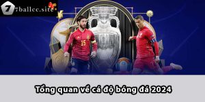 Tổng quan về cá độ bóng đá 2024